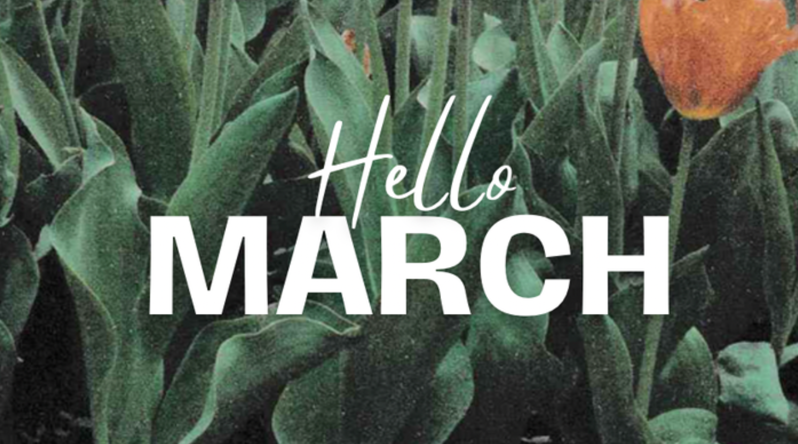 IT’S ALL ABOUT . . . MARCHING INTO MARCH WITH IDEAS! By Melissa Stoller